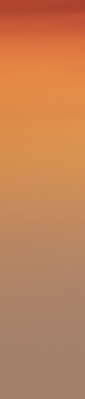 Teamerfolg durch Kooperation: Leadership neu definiert S+P Seminare