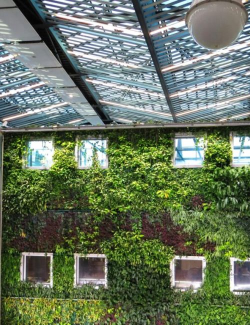 Projektmanagement: Techniken für den Erfolg K01 - Projektmanagement: Techniken für den Erfolg