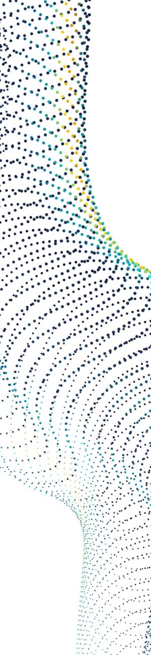 Woke Leadership - das S+P Seminar Führen von interkulturellen Teams, Woke Leadership