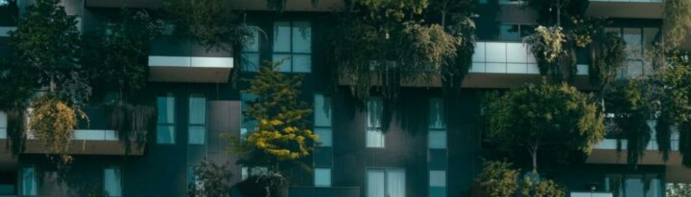 ChatGPT: Wie du das Beste aus der KI-Technologie herausholst ChatGPT: Wie du das Beste aus der KI-Technologie herausholst