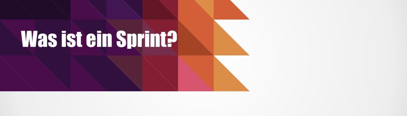 Der Sprint - Effizienz und Flexibilität Welche Rolle spielt das Controlling im Unternehmen?