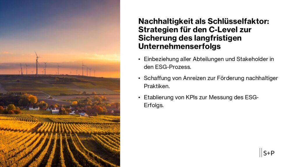 Nachhaltigkeit als Schlüsselfaktor: Strategien für den C-Level zur Sicherung des langfristigen Unternehmenserfolgs