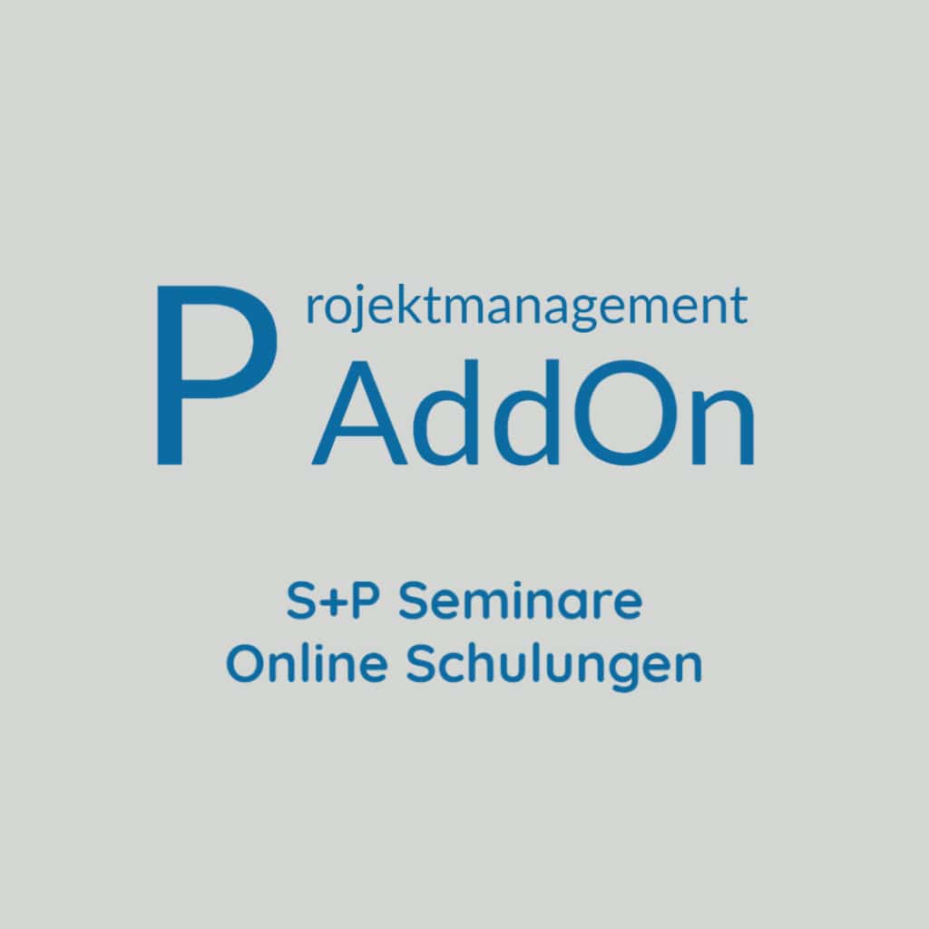 Online Training Führen als Projektleiter