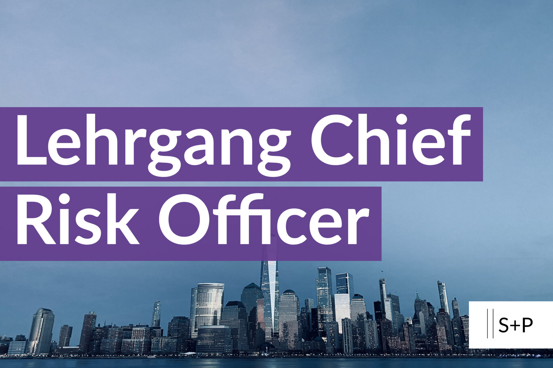 Lehrgang Chief Risk Officer