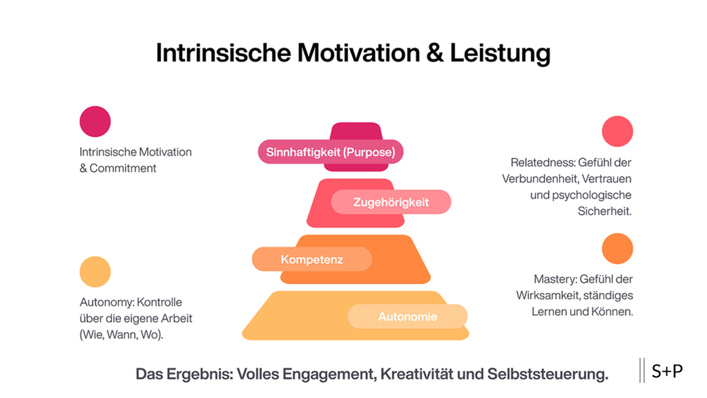 intrinsische Motivation infografik