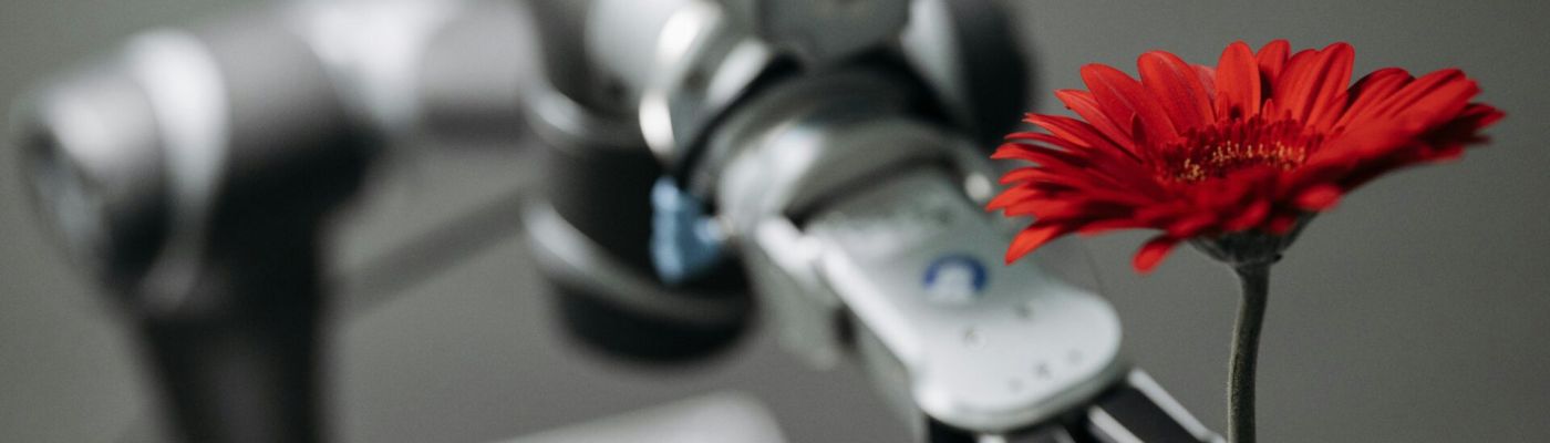Innovationsmanagement: Von der Idee zur Umsetzung Welche Rolle spielt das Controlling im Unternehmen?