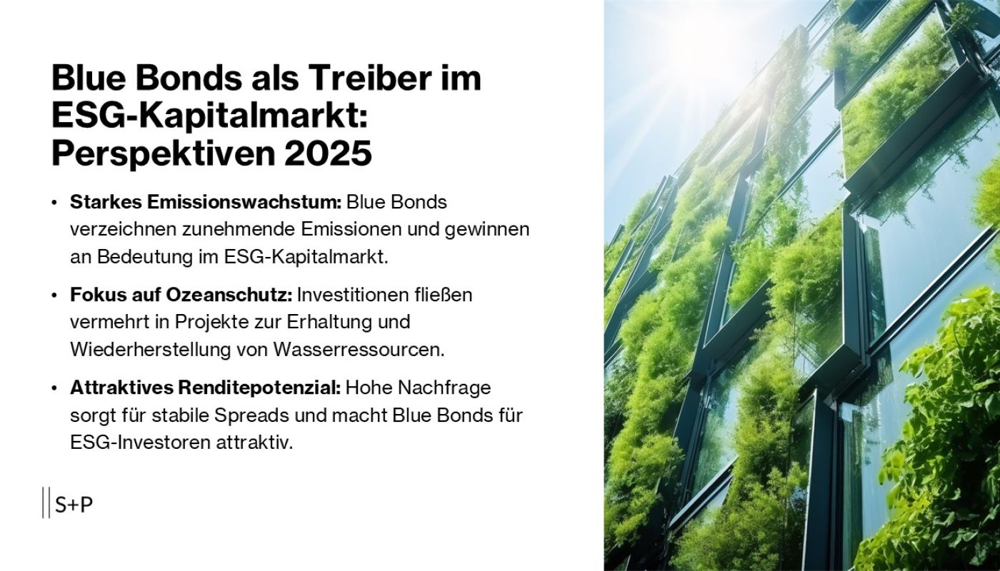 Blue Bonds als Treiber im ESG-Kapitalmarkt: Perspektiven 2025