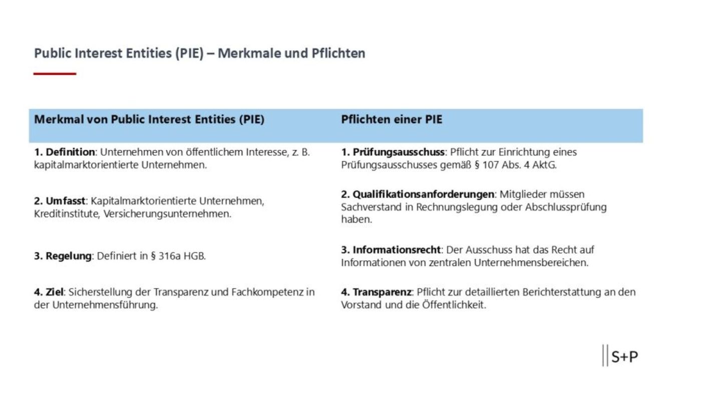 Was ist eine Public Interest Entity - PIE? Welche Rolle spielt das Controlling im Unternehmen?