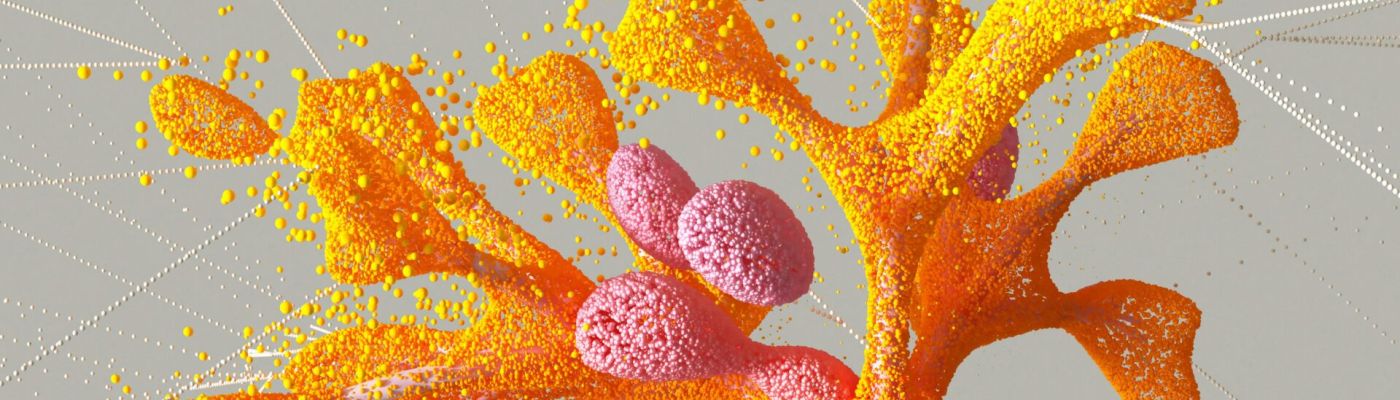 Welche Rolle spielt das Controlling im Unternehmen?