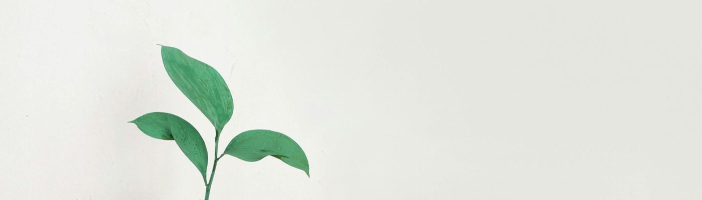 Nachhaltigkeit im Unternehmensmanagement: Strategien und Best Practices für nachhaltiges Wirtschaften Welche Rolle spielt das Controlling im Unternehmen?