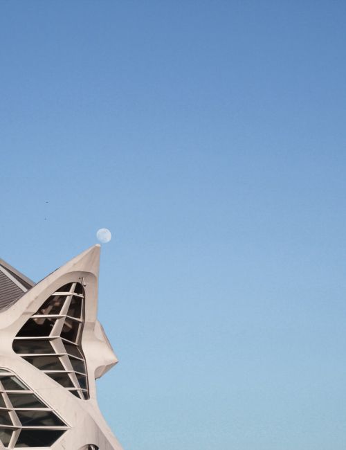 Customer Service Fit fürs New Work Customer Service: Fit fürs New Work