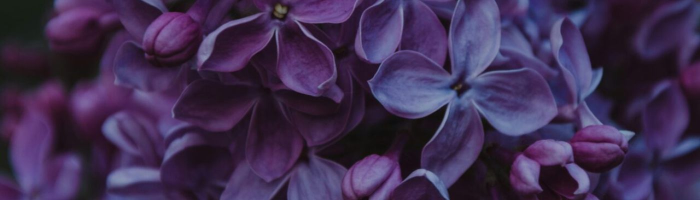 Welche Rolle spielt das Controlling im Unternehmen?